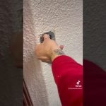 Cómo cambiar un pulsador de campana