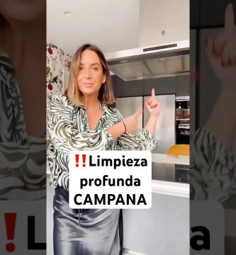 Cómo limpiar turbina de campana