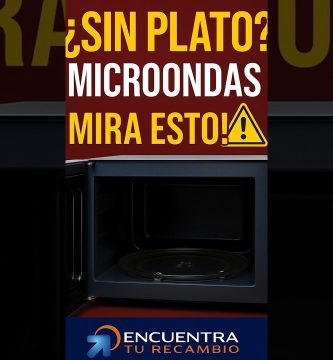 Cómo sustituir el plato giratorio