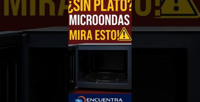 Cómo sustituir el plato giratorio